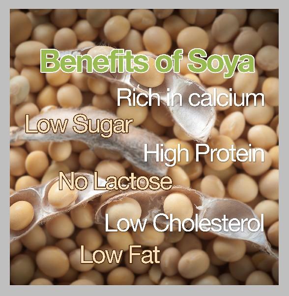5 best soy protein powders for muscle growth Healthy Life Start