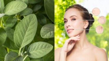 Sage for skin: 7 easy ways to reduce the signs of ageing