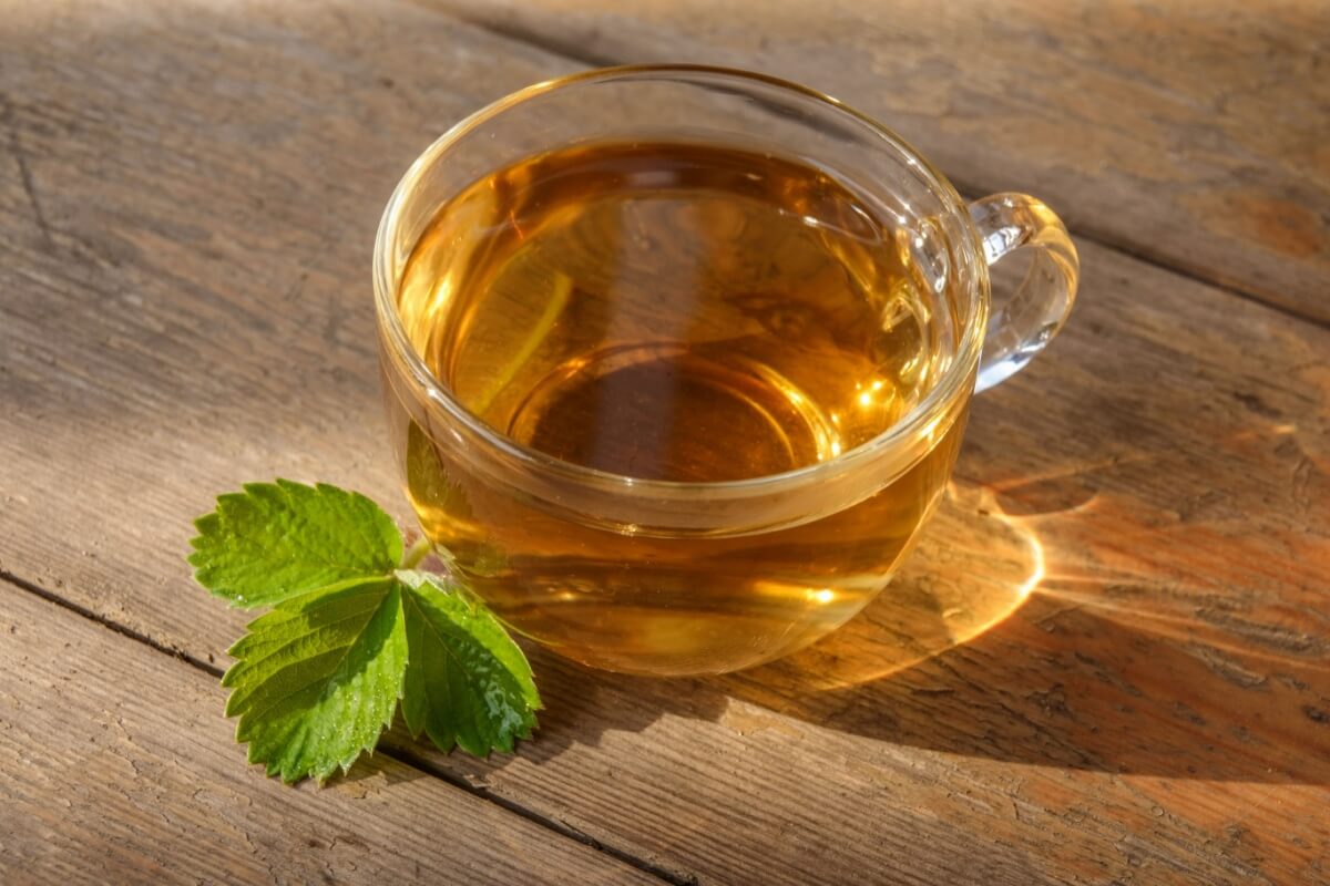 16-plants-to-grow-at-home-and-make-healthy-teas