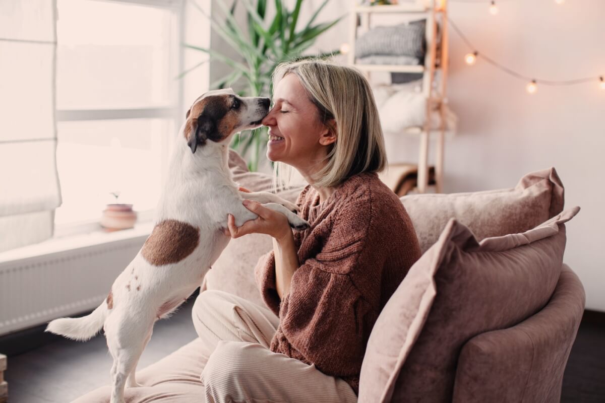 april-orange:-see-how-to-identify-“invisible”-abuse-in-pets’-routine