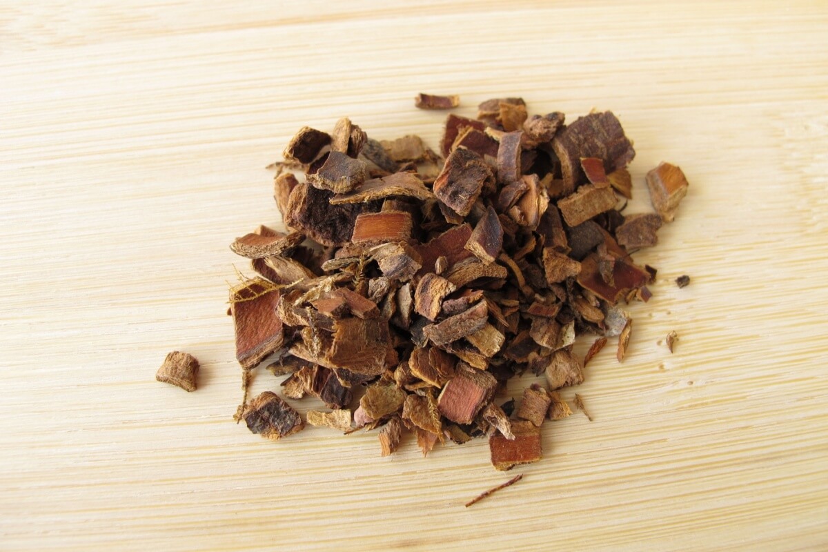 cascara-sacred:-what-it-is-for,-benefits-and-how-to-make-tea-from-the-plant