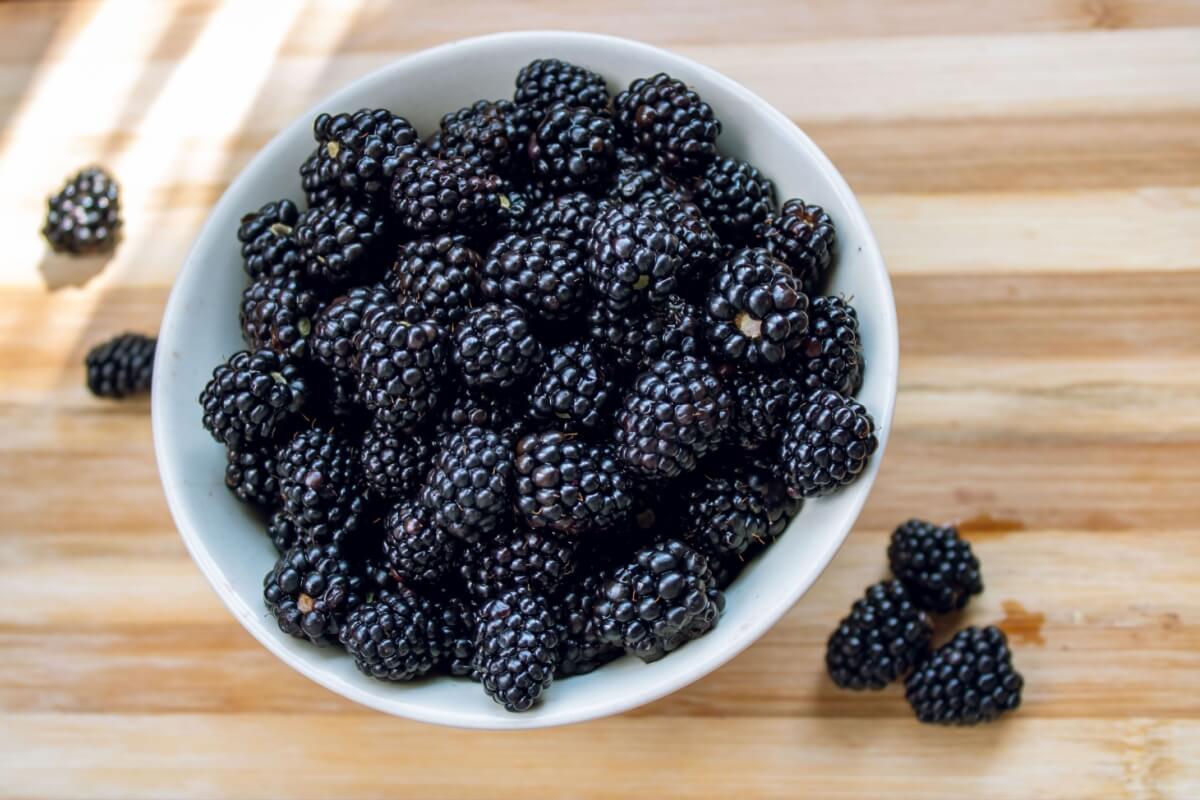 rich-in-antioxidants:-discover-the-health-benefits-of-blackberries