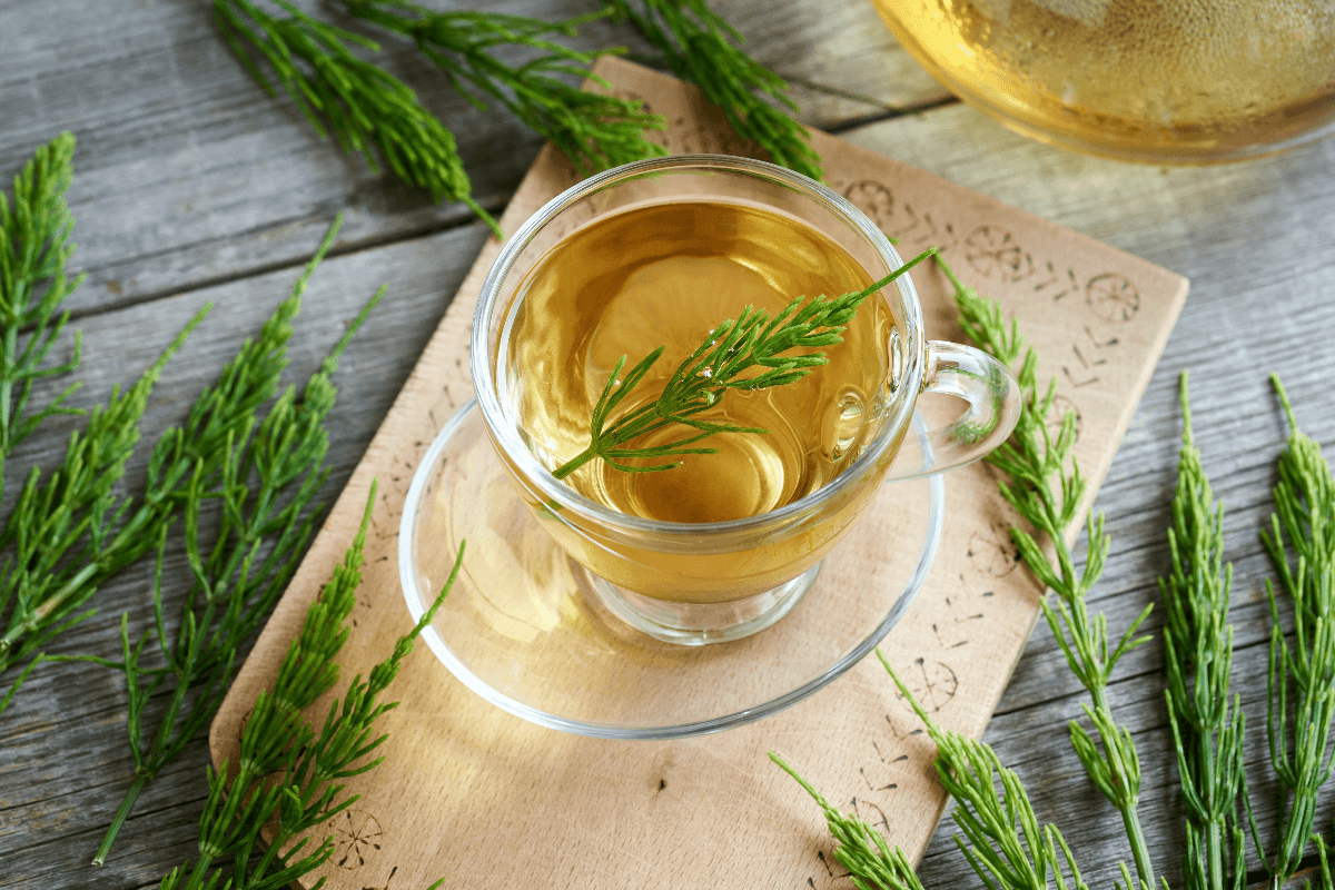 5-homemade-teas-to-help-fight-urinary-tract-infections