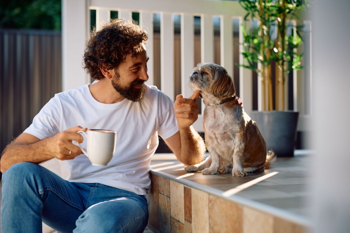 7-tips-to-gain-your-dog’s-trust