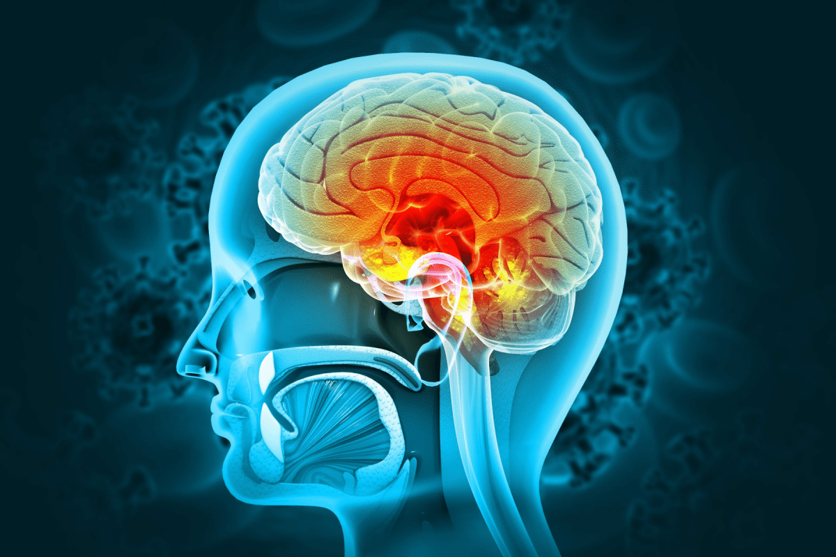 see-the-main-symptoms-of-meningitis-and-how-to-prevent-the-disease