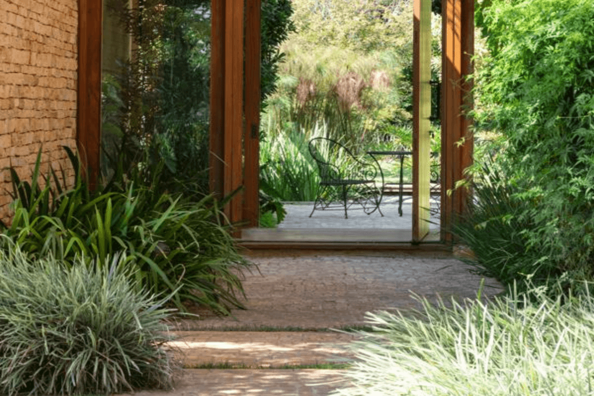 can-cold-weather-harm-your-plants?-see-6-essential-winter-precautions