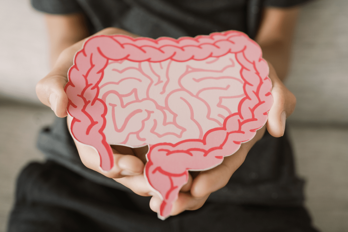 bloating,-fatigue-and-constipation:-is-dysbiosis-really-to-blame?