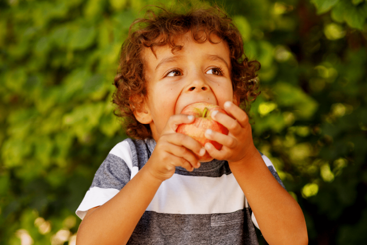 beyond-taste:-how-the-sound-and-crunch-of-food-help-combat-children’s-pickiness
