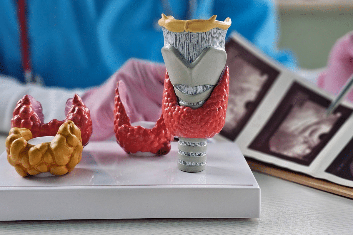 thyroid-cancer:-learn-about-the-symptoms-and-treatments-for-the-disease
