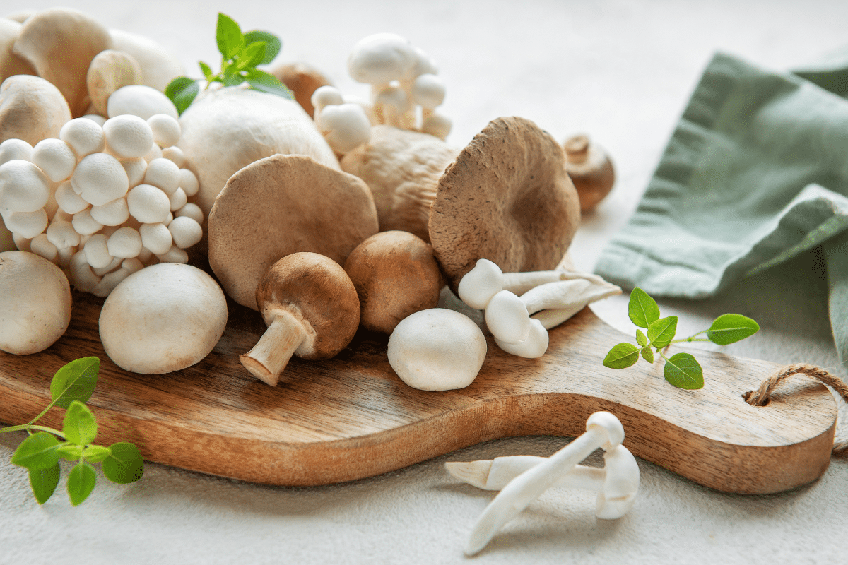 cogumelos:-conheca-os-principais-tipos,-beneficios-e-como-inclui-los-na-dieta