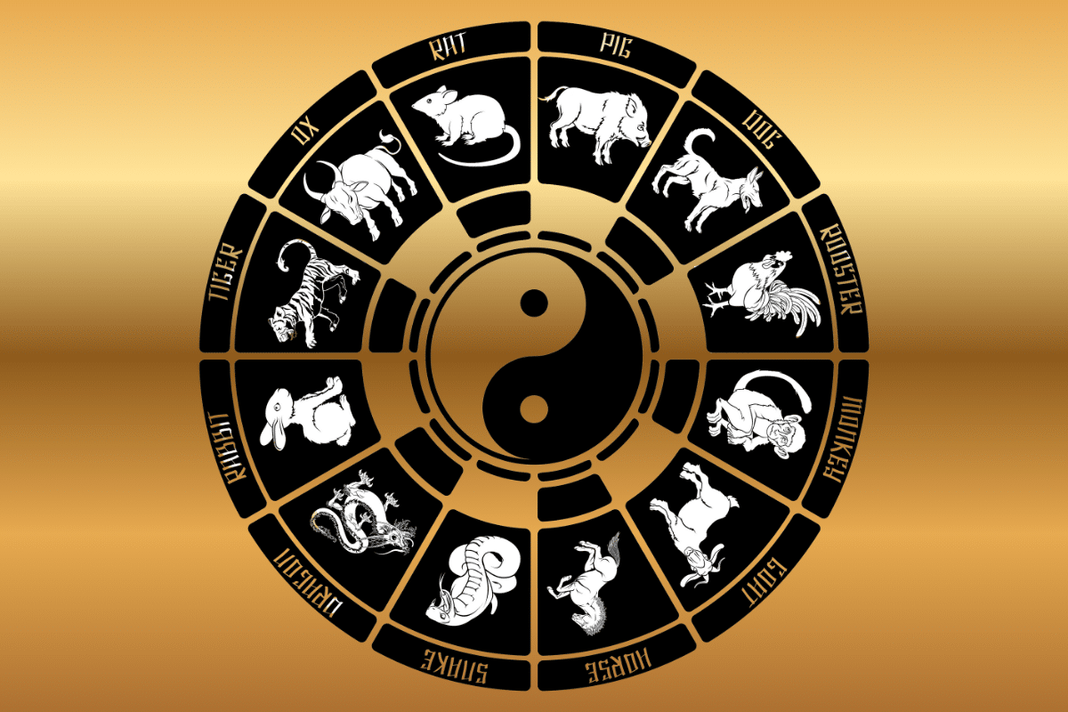horoscopo-chines:-veja-o-que-a-energia-do-galo-reserva-para-cada-signo-em-setembro
