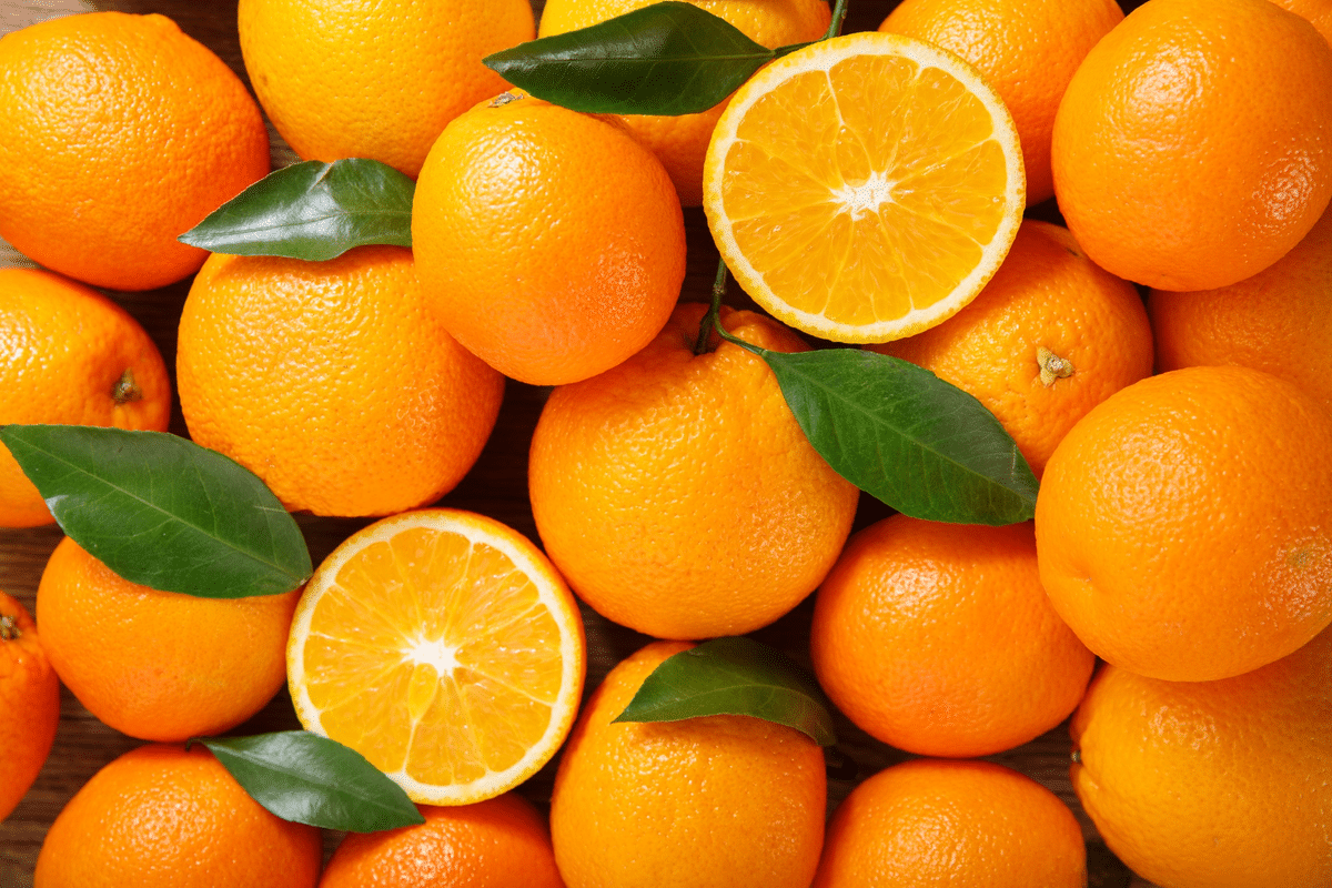 por-que-ferver-fatias-de-laranja-com-vinagre-branco?-entenda-para-que-serve-a-mistura 